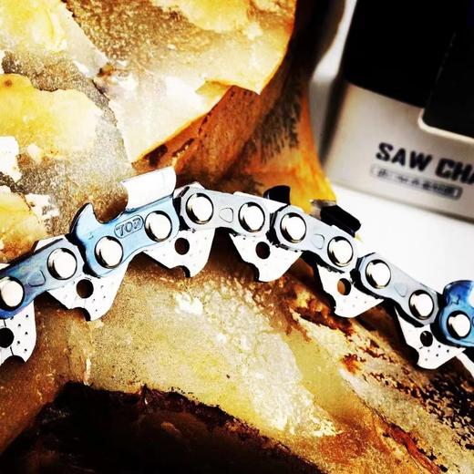 中坚进口链条（上市企业） 商品图2