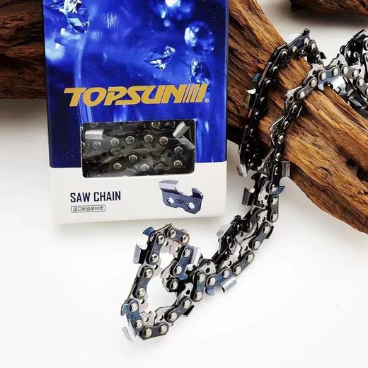 中坚进口链条（上市企业） 商品图7