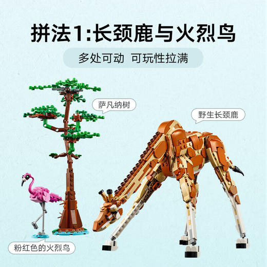 乐高积木L31150乐高百变创意系列野生动物 商品图2