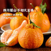 产地直发 | 【枝悦】正宗不知火丑橘  四川 脆甜多汁口感清爽 果肉细腻无渣现摘新鲜水果整箱 商品缩略图0