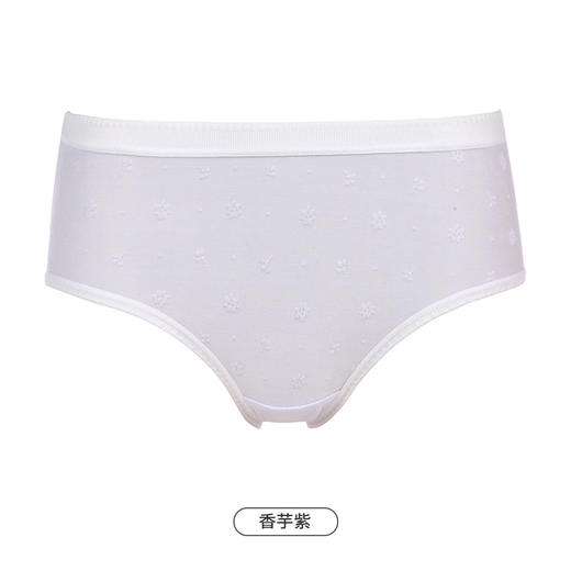 都市丽人基础系列舒肤棉内裤女提花纯棉女士内裤低腰平角内裤LK45A6 商品图12
