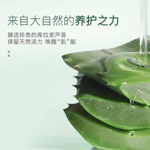 栀子花芦荟睡眠面膜 免洗补水保湿 控油祛痘 熬夜救急 商品图3