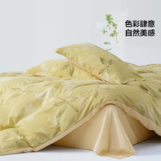百丽丝家纺三/四件套全棉套件家用床单被套纯棉花卉床上用品 商品图4