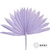 永生花材 | 棕榈叶紫色 商品缩略图0