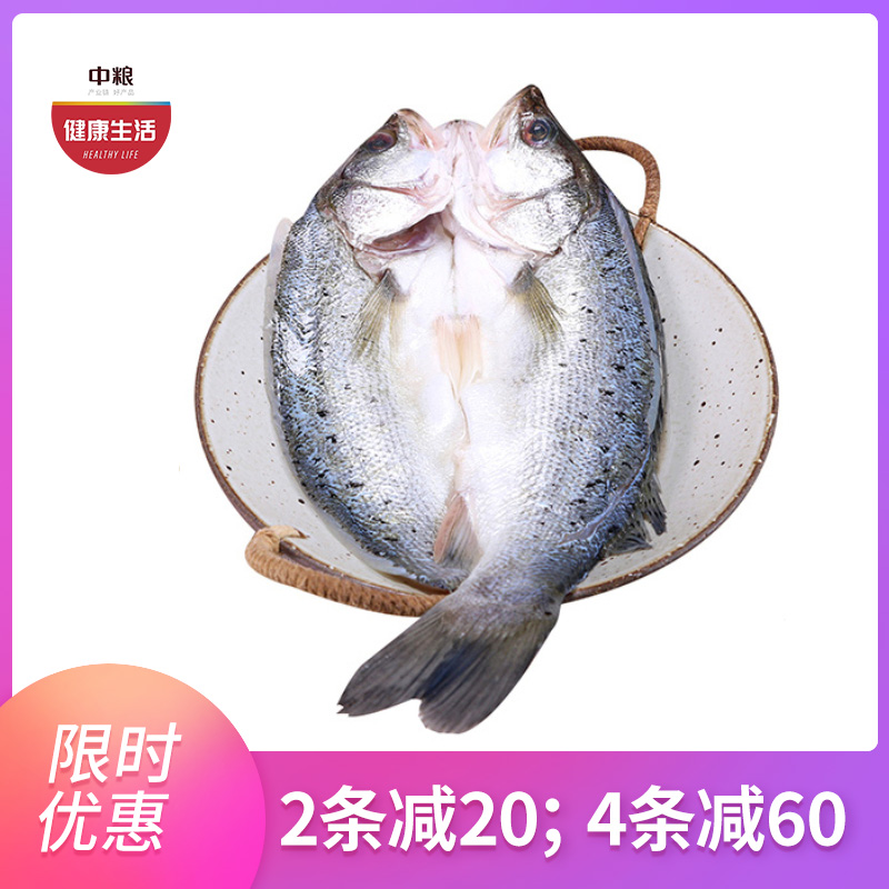 珠海白蕉海鲈鱼400-500g/条 肉质鲜嫩 筷子戳出蒜瓣肉 京东发货