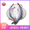珠海白蕉海鲈鱼400-500g/条 肉质鲜嫩 筷子戳出蒜瓣肉 京东发货 商品缩略图0