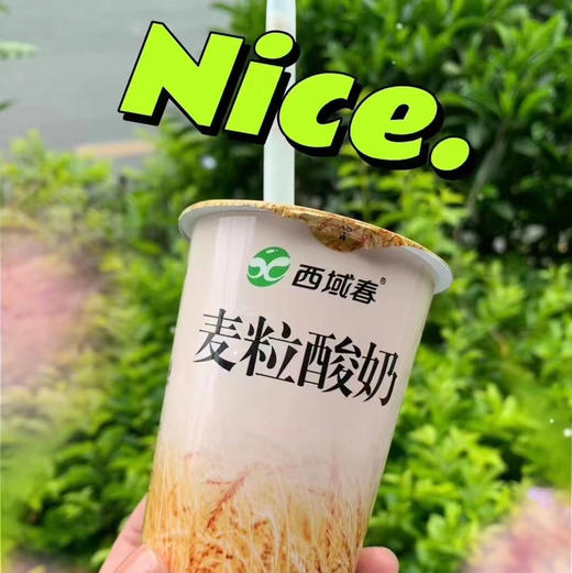 新疆麦粒酸奶 商品图1
