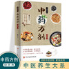 中药药方剂轻图典 精装 商品缩略图0