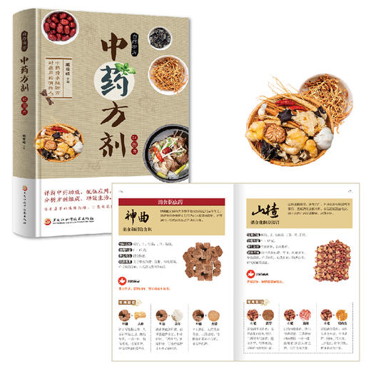 中药药方剂轻图典 精装 商品图5