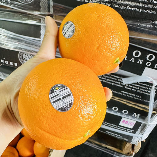 澳洲黑标3107橙 商品图6