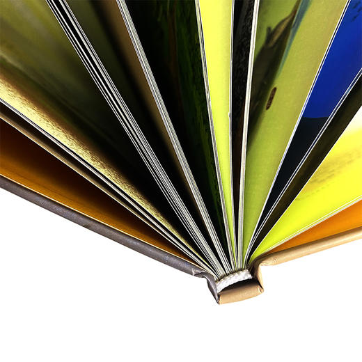 孩子读得懂的物种起源 商品图8