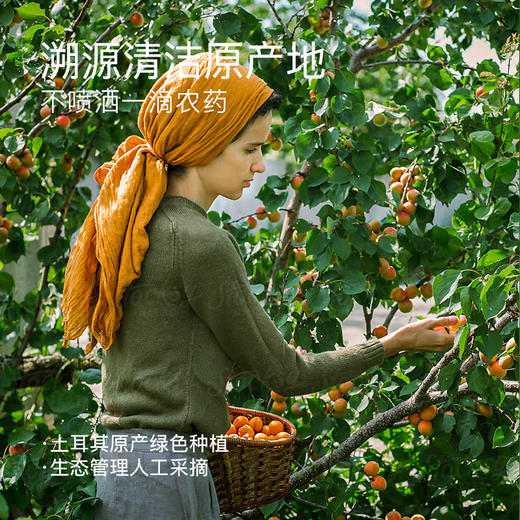 【部分地区包邮】【几分之几 土耳其无核杏干/泰国无核龙眼干】原产地种植  人工采摘 清洁加工简单配方  100g/袋 商品图6