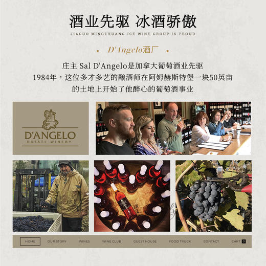【液体黄金 加拿大原瓶进口】帝安吉乐晚收冰白葡萄酒 源自冰酒之乡加拿大 12.5%vol 商品图5