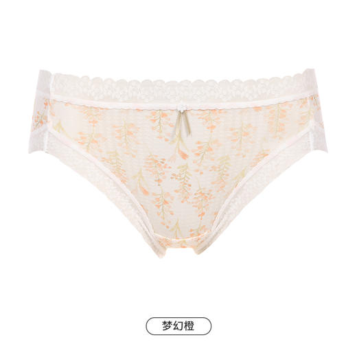 都市丽人健康系列薄透丝滑内裤女锦纶网布女士内裤速干中腰三角内裤LK42A3 商品图11