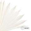 永生花材 | 棕榈叶白色 商品缩略图2
