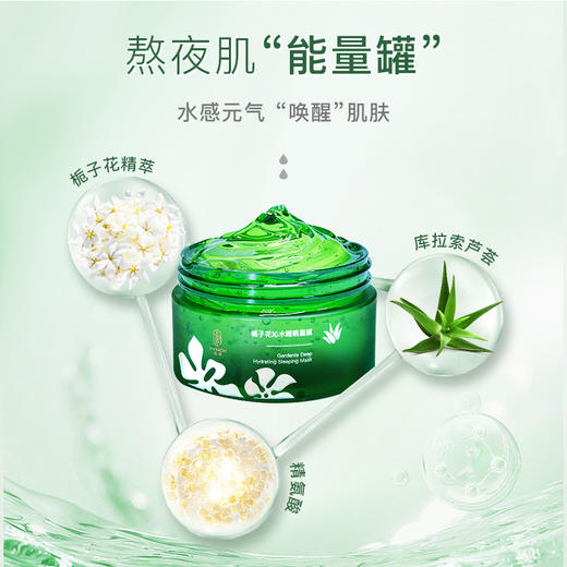 栀子花芦荟睡眠面膜 免洗补水保湿 控油祛痘 熬夜救急 商品图2