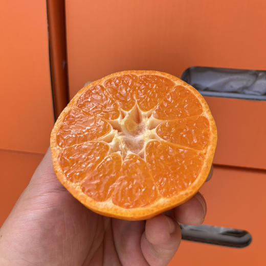 【蜜桔】甲一蜜桔，橘子味浓郁，春季的第一款橘子，口感很有层次，入口甜，强烈推荐！ 商品图3