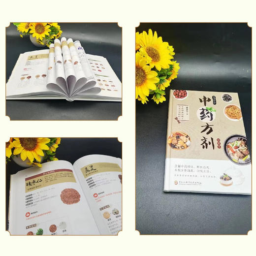 中药药方剂轻图典 精装 商品图3