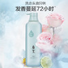 阿道夫祛屑蓬松香氛洗发水518ml  拯救油头扁塌发 清爽净屑留香-拍2件更划算 商品缩略图3
