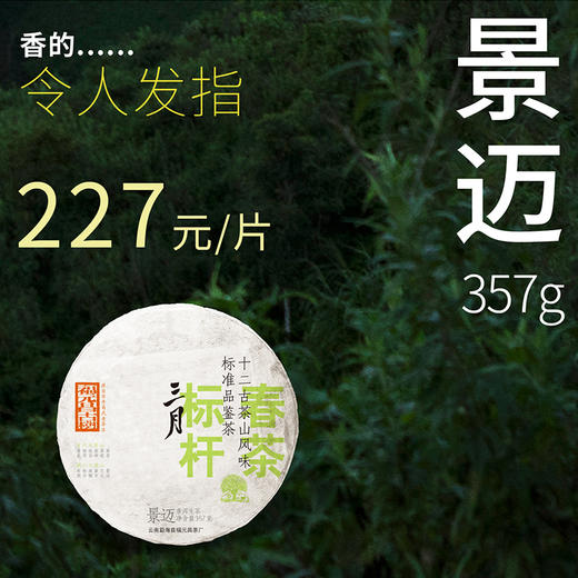 【福元昌古树】2024年三月系列-景迈357g生饼 商品图0