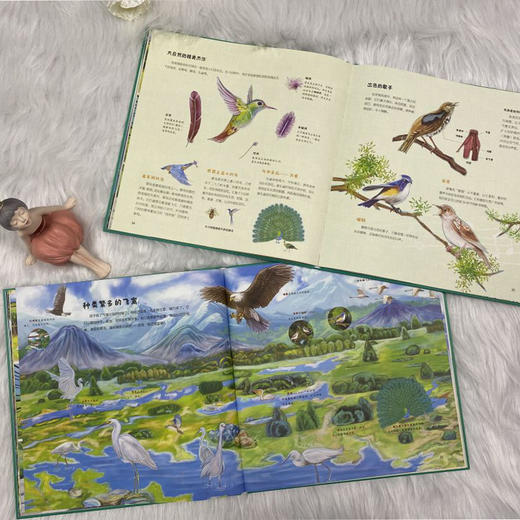 孩子读得懂的自然简史 商品图10