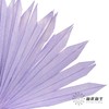 永生花材 | 棕榈叶紫色 商品缩略图2