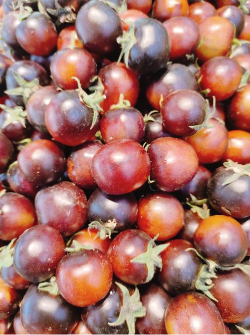 黑珍珠柿子2斤 商品图0