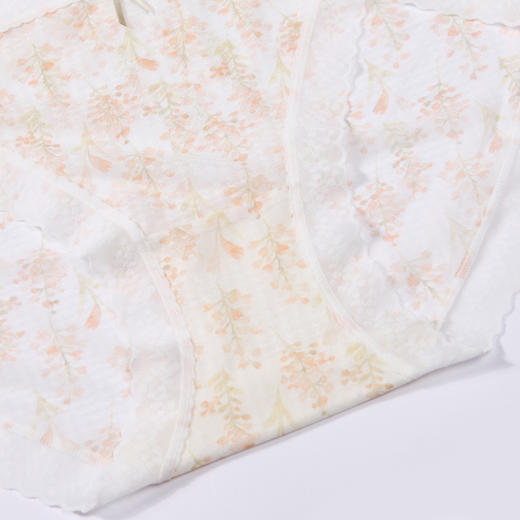 都市丽人健康系列薄透丝滑内裤女锦纶网布女士内裤速干中腰三角内裤LK42A3 商品图7