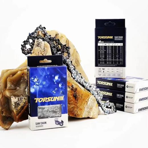 中坚进口链条（上市企业） 商品图4