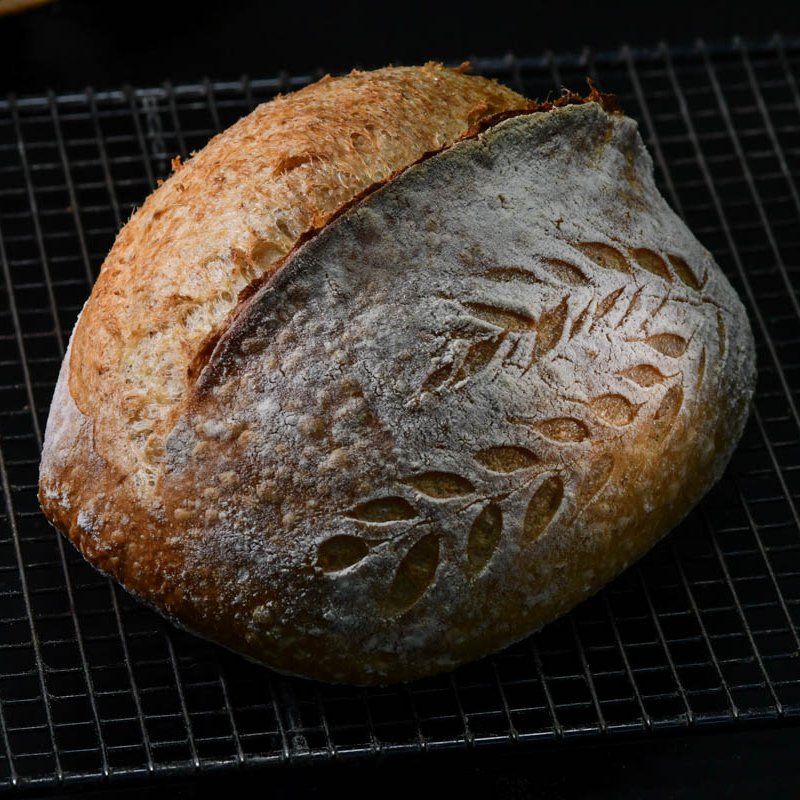 传统乡村面包【T65+全麦粉，鲁邦种天然酵母，健身减脂推荐】