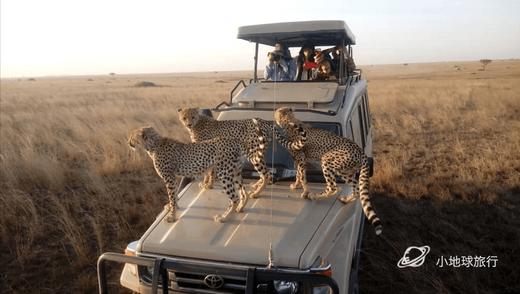 坦桑尼亚定制2026年7月 （7天6晚）10大1小 商品图0