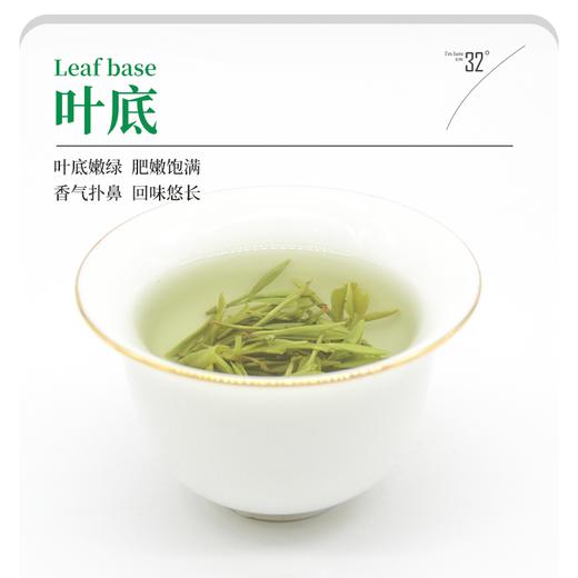 2024年明前春茶新茶四川高山云雾茶绿茶雀舌100g铁罐装 商品图4