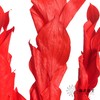 永生花材 | 桔子叶红色 商品缩略图3