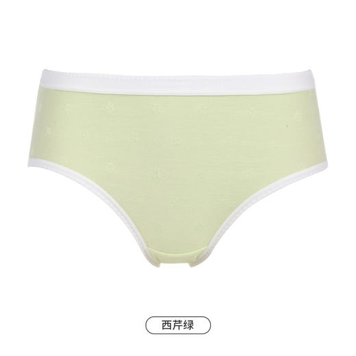 都市丽人基础系列舒肤棉内裤女提花纯棉女士内裤低腰平角内裤LK45A6 商品图11