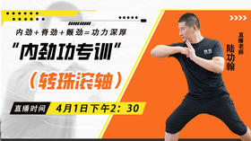 4月1日  内劲功专训（转珠滚轴）
