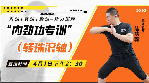 4月1日  内劲功专训（转珠滚轴） 商品图0