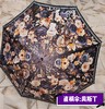 【6F】富安娜小直柄伞  吊牌价198，活动价69 商品缩略图0