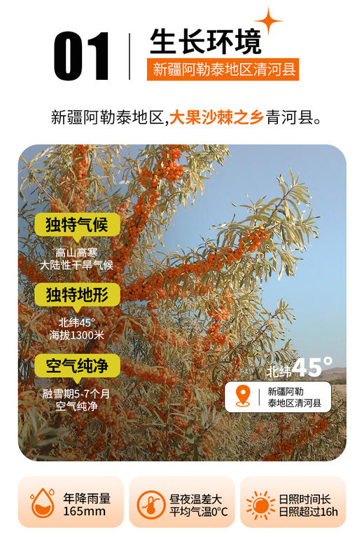 鲜时力沙棘果浆后生元饮品 商品图8