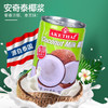 泰国安奇泰椰浆400ml/030346 奶茶甜点烘焙好伴侣丰富菜肴口感层次 商品缩略图0