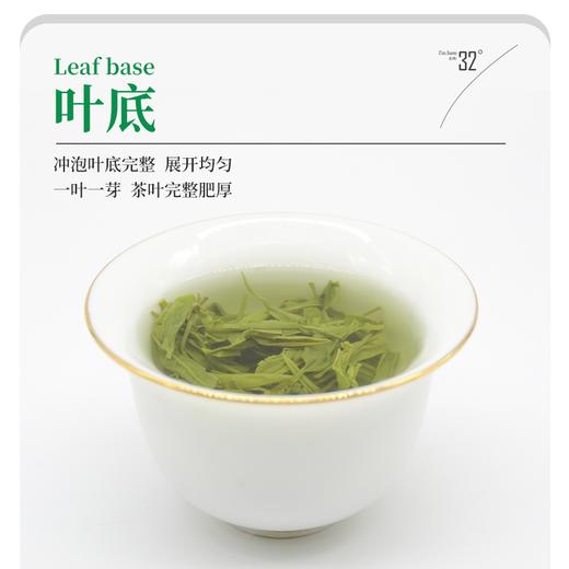 四川高山云雾茶绿茶翠芽50g盒装 商品图4