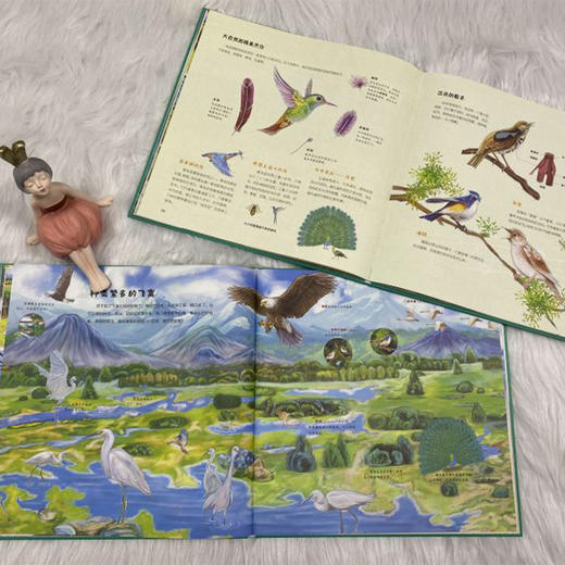 孩子读得懂的自然简史 商品图11