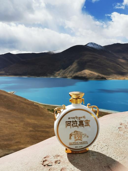 西藏拉萨   阿拉嘉宝真年份.9年   青稞清香型  58° 单瓶 500ml  买三送一 商品图5