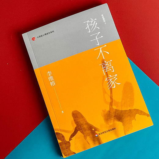 家庭舞蹈8 孩子不离家 李维榕 原生家庭真实案例 商品图4