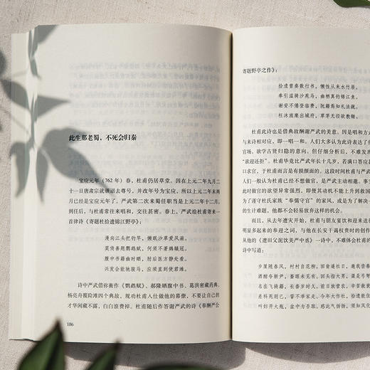 诗词话人生全12册 套盒 商品图7