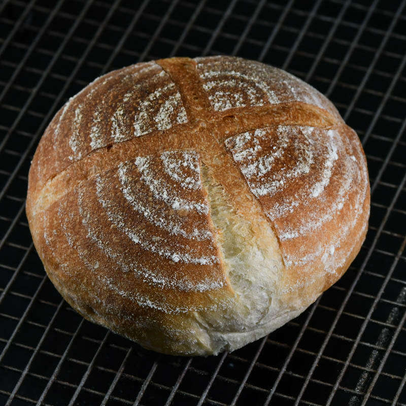 蔓越莓芝士软欧T55【鲁邦种天然酵母，健康饮食推荐】