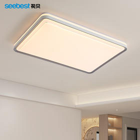 云川系列-客卧灯