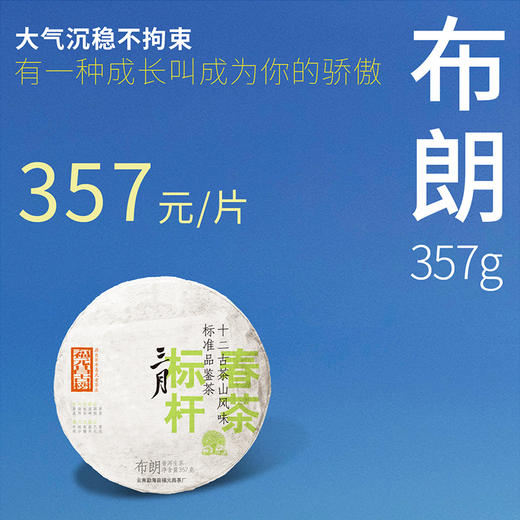 【福元昌古树】2024年三月系列-布朗357g生饼 商品图0