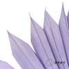 永生花材 | 棕榈叶紫色 商品缩略图3