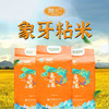【华农】象牙粘米5kg 商品缩略图0