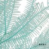 永生花材 | 芒其叶蒂芙尼绿 商品缩略图1